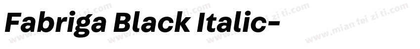 Fabriga Black Italic字体转换